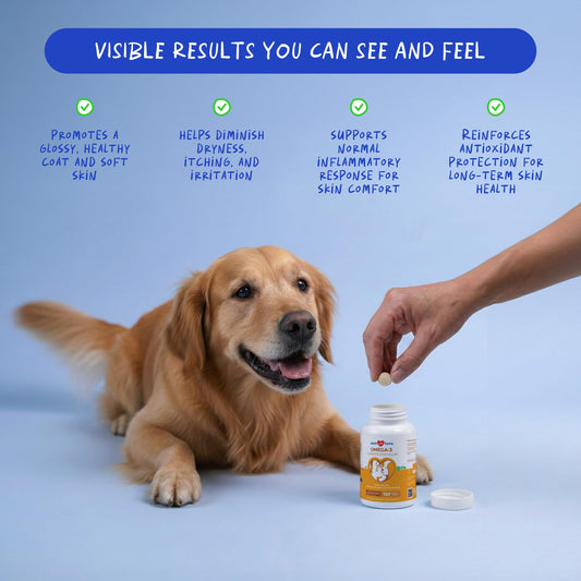 Omega 3 Fish Oil Skin and Coat Supplement Y2248