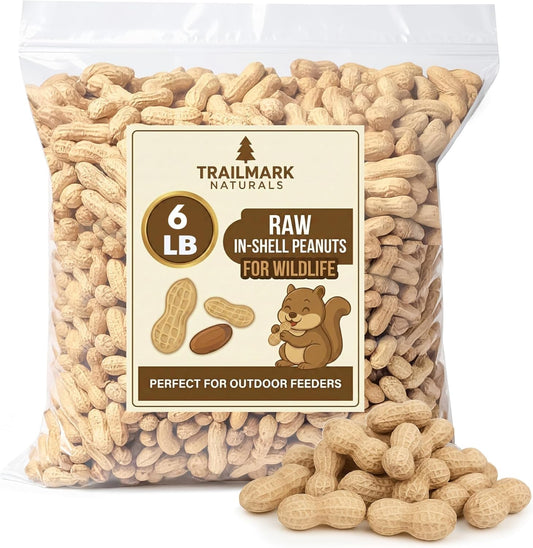 Raw Peanuts in Shell for Squirrels and Birds R787351