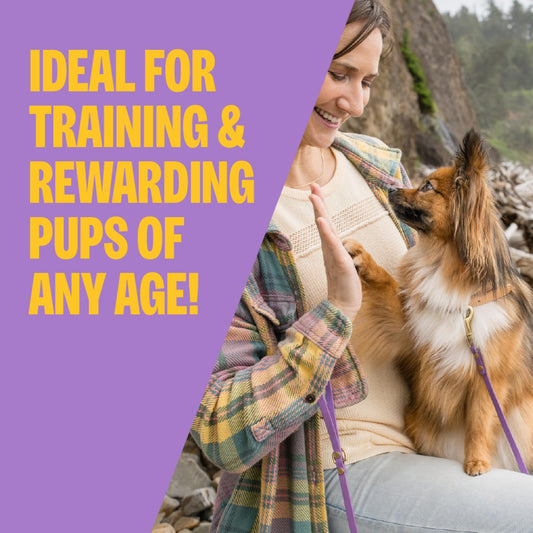 Soft Grain Free Lamb and Salmon Recipe Dog Training Treats 8 oz Bag W442478