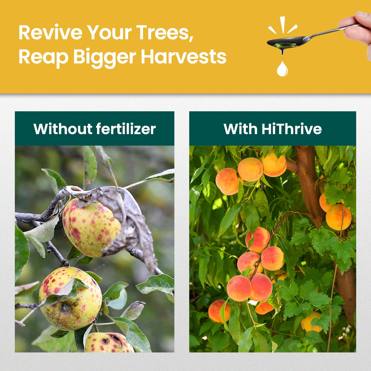 16oz Fruit Tree Fertilizer P659412